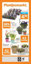 Albert Heijn folder week 11 Pagina 33