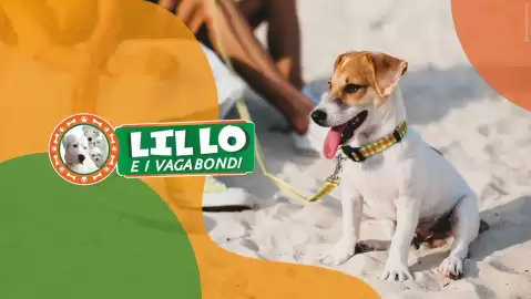 Volantino Lillo e i Vagabondi Pagina 1