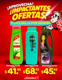 Catálogo Hemsa semana 10 Página 2