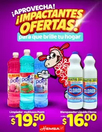 Catálogo Hemsa semana 10 Página 5