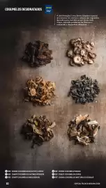 Catálogo Makro Página 10