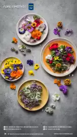 Catálogo Makro Página 14