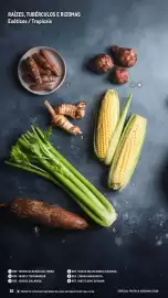 Catálogo Makro Página 16