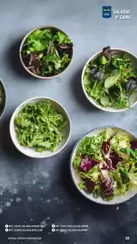 Catálogo Makro Página 39