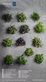 Catálogo Makro Página 4