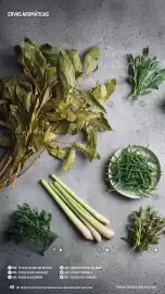 Catálogo Makro Página 40