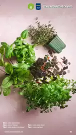 Catálogo Makro Página 45