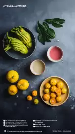 Catálogo Makro Página 48