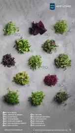 Catálogo Makro Página 5