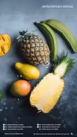 Catálogo Makro Página 51