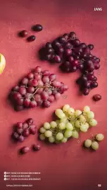 Catálogo Makro Página 55