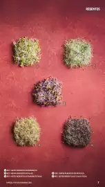 Catálogo Makro Página 7