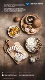 Catálogo Makro Página 9