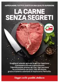 Volantino Supermercati Gulliver Pagina 14