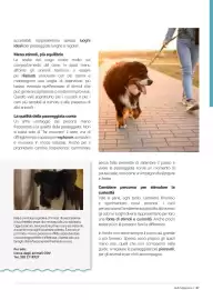 Volantino Supermercati Gulliver Pagina 87