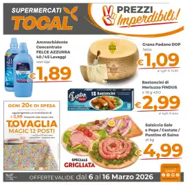 Volantino Tocal Pagina 1