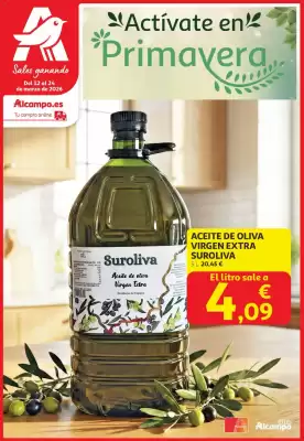 Folleto Alcampo (válido hasta el 24-03)