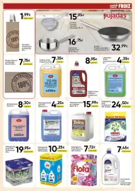 Folleto FROIZ Página 13