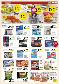 Folleto FROIZ Página 9