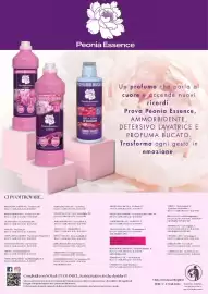 Volantino Kuadrifoglio Pagina 26