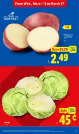 Lidl weekly ad week 11 Page 3