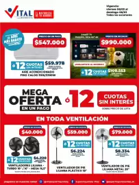 Catálogo Supermayorista Vital Página 4