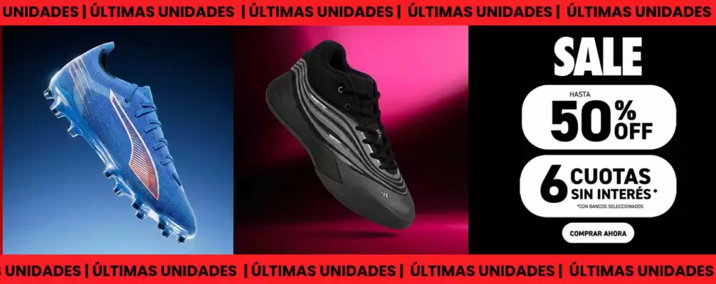 Catálogo Dexter (válido hasta 18-03)