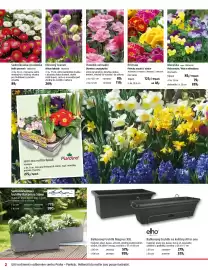 Bauhaus leták Strana 2