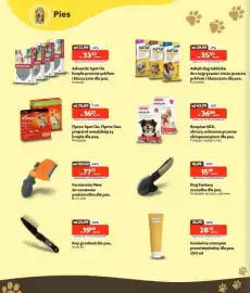 Kakadu gazetka Strona 2