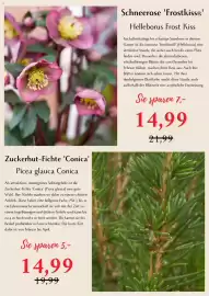 Bellaflora Flugblatt Seite 3