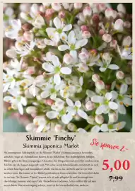 Bellaflora Flugblatt Seite 5