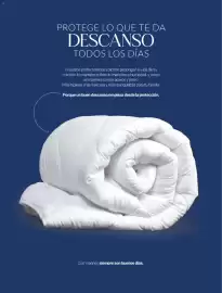 Catálogo Vianney Página 170