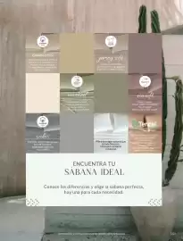 Catálogo Vianney Página 185