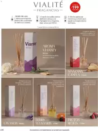 Catálogo Vianney Página 198