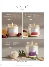 Catálogo Vianney Página 200