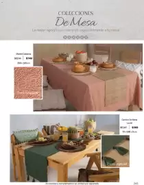 Catálogo Vianney Página 245