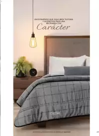 Catálogo Vianney Página 45