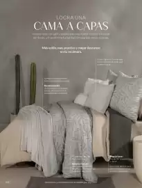 Catálogo Vianney Página 66