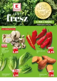 Kaufland gazetka Strona 16