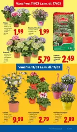 Lidl folder week 11 Pagina 19