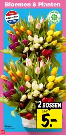 Vomar Voordeelmarkt folder week 11 Pagina 31