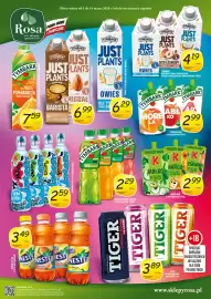 Rosa gazetka Strona 2