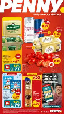 PENNY DE folder (geldig t/m 14-03)