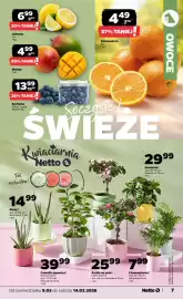 Netto gazetka tydzień 11 Strona 7
