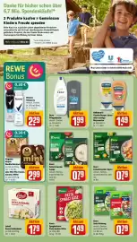 REWE Prospekt woche 11 Seite 22