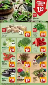 REWE Prospekt woche 11 Seite 5