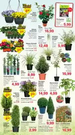 Wiglo Wunderland Prospekt woche 11 Seite 4