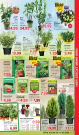 Wiglo Wunderland Prospekt woche 11 Seite 5