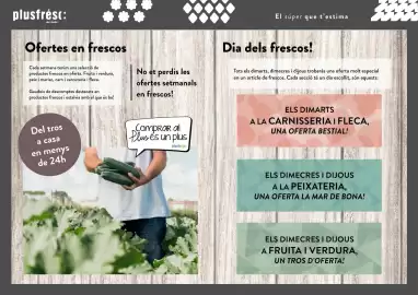 Folleto Plusfresc Página 7