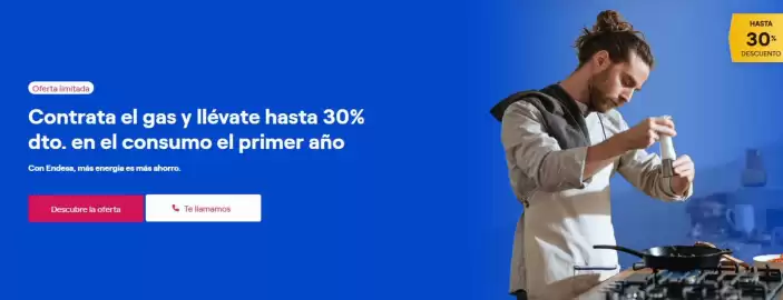 Folleto ENDESA Página 3